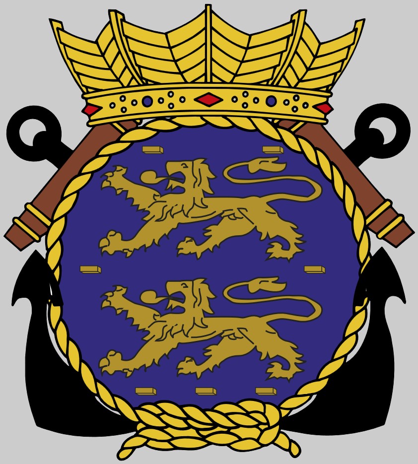p-842 hnlms friesland insignia crest patch badge offshore patrol vessel netherlands navy 02x