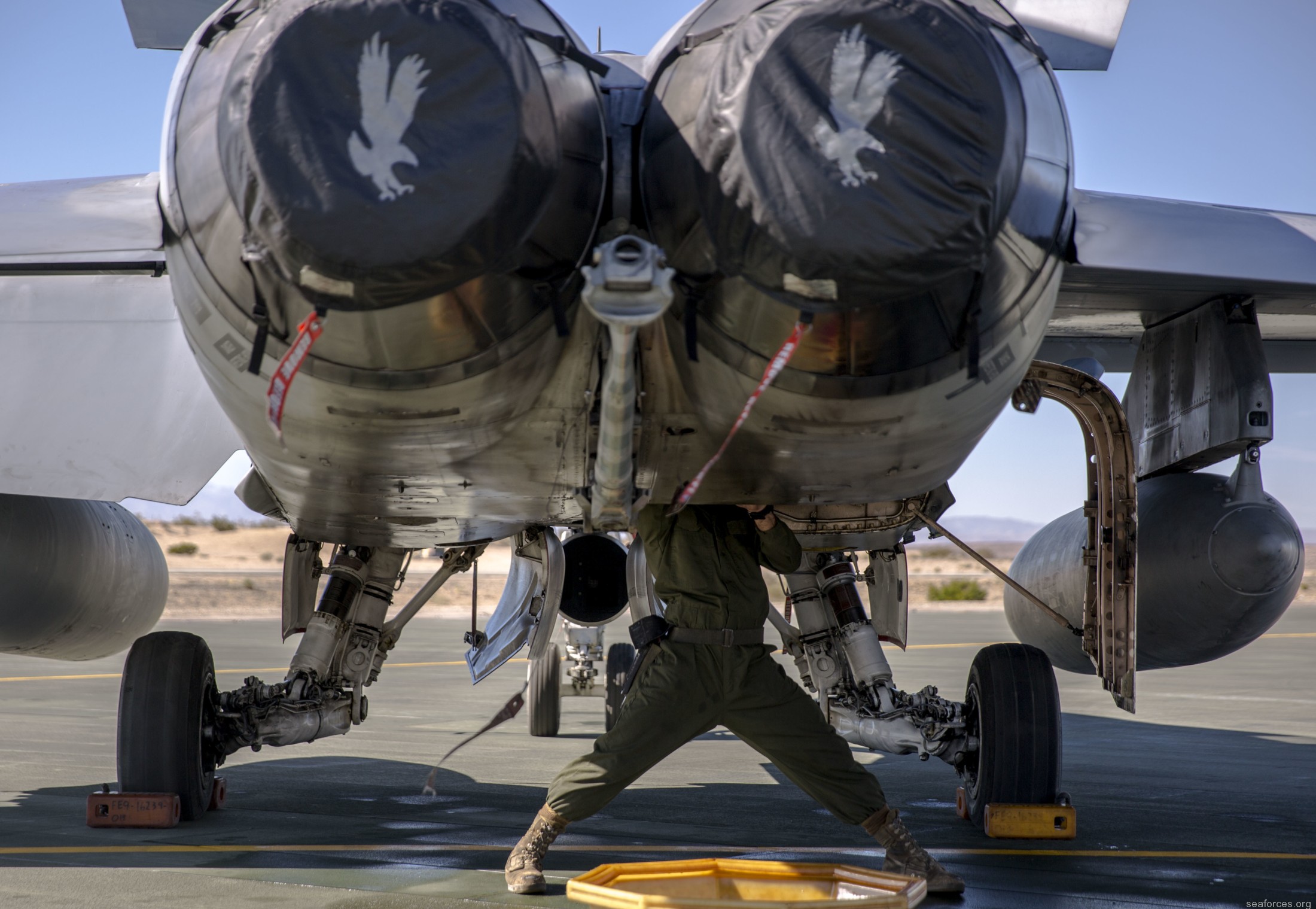 vmfa-115 silver eagles marine fighter attack squadron f/a-18a+ hornet 113