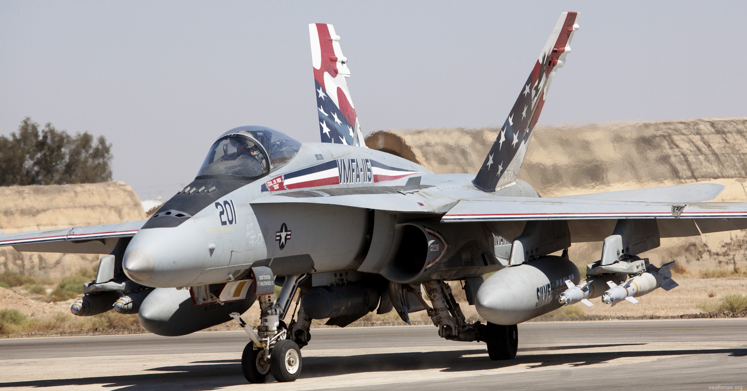 vmfa-115 silver eagles marine fighter attack squadron f/a-18a+ hornet 155 special color scheme