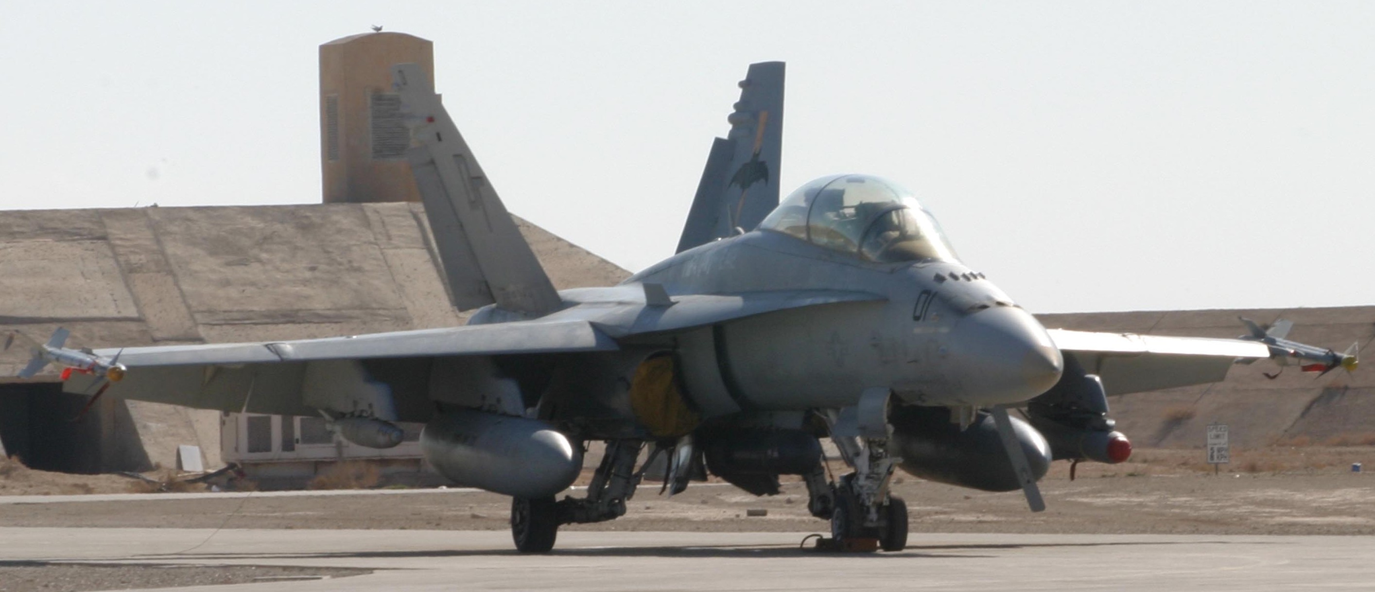 vmfa(aw)-242 bats marine all-weather fighter attack squadron usmc f/a-18d hornet 24
