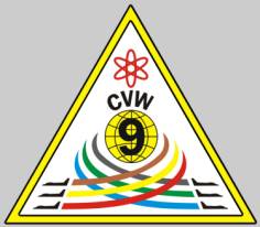 CVW-9 carrier air wing nine patch crest insignia