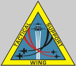TSW tactical support wing patch crest insignia