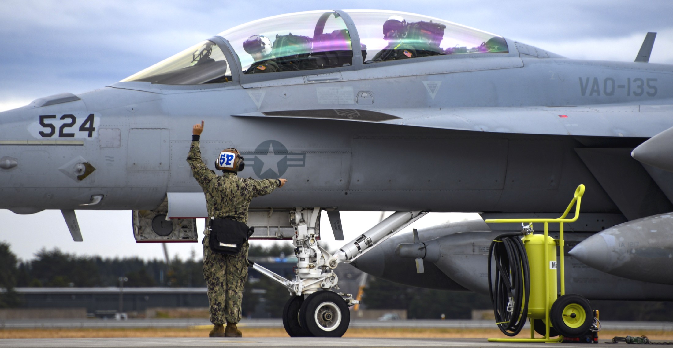 vaq-135 black ravens electronic attack squadron vaqron us navy boeing ea-18g growler misawa air base naf japan 66