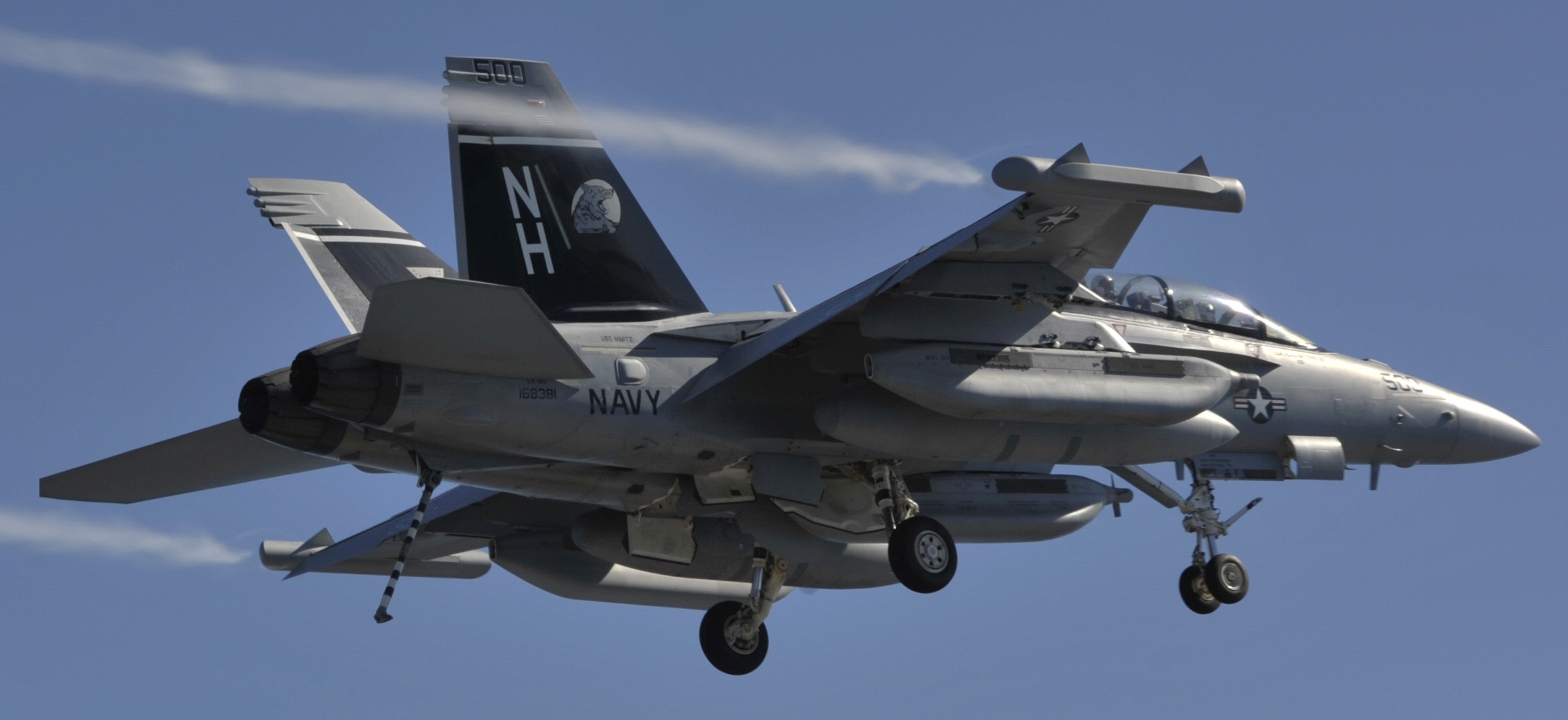 vaq-142 gray wolves electronic attack squadron ea-18g growler us navy boeing nas whidbey island cvw uss 89x
