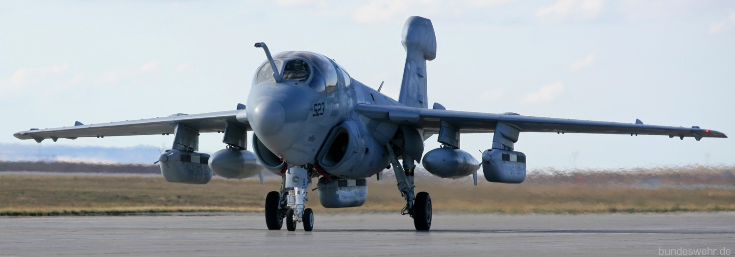 vaq-142 gray wolves electronic attack squadron ea-6b prowler us navy mountain home afb idaho 129