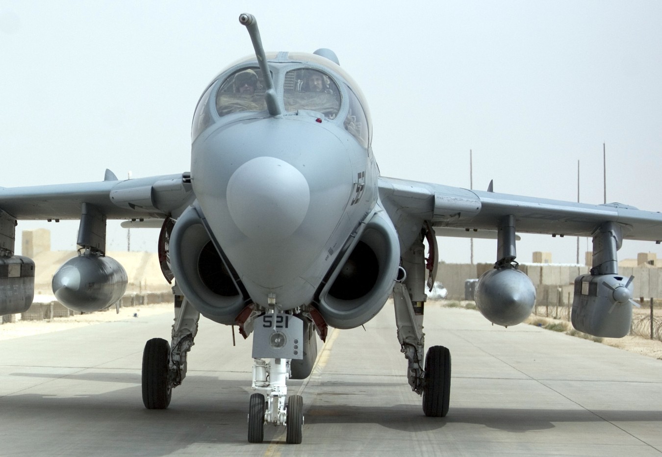 vaq-142 gray wolves electronic attack squadron ea-6b prowler us navy al asad air base iraq 133