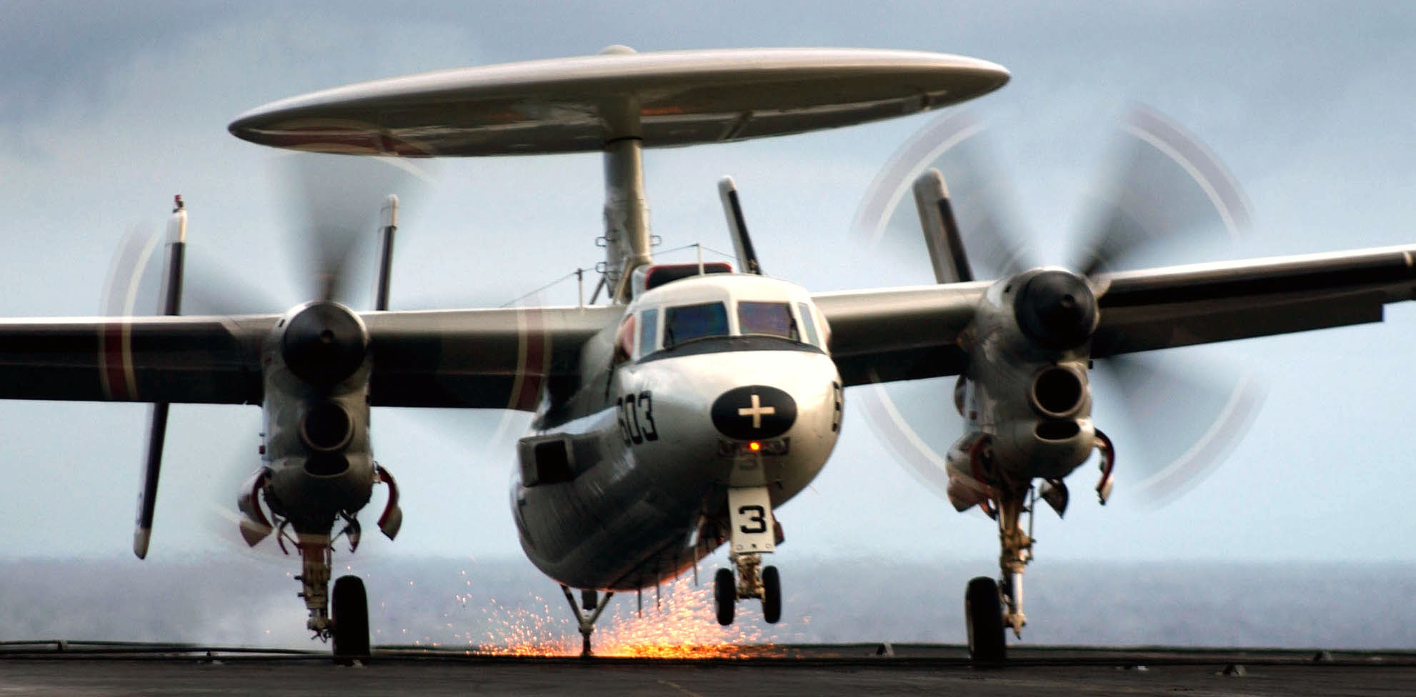 vaw-113 black eagles carrier airborne early warning squadron us navy grumman e-2c hawkeye cvw-14 uss john c. stennis cvn-74 89