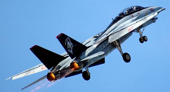 fighter squadron vf-101 grim reapers fleet replacement squadron us navy tomcat phantom nas oceana virginia