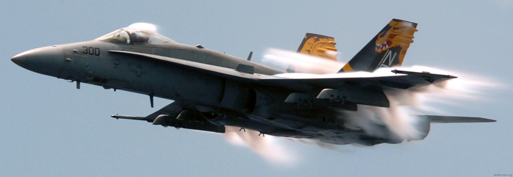 vfa-192 golden dragons strike fighter squadron navy f/a-18c hornet carrier air wing cvw-5 uss kitty hawk cv-63 70