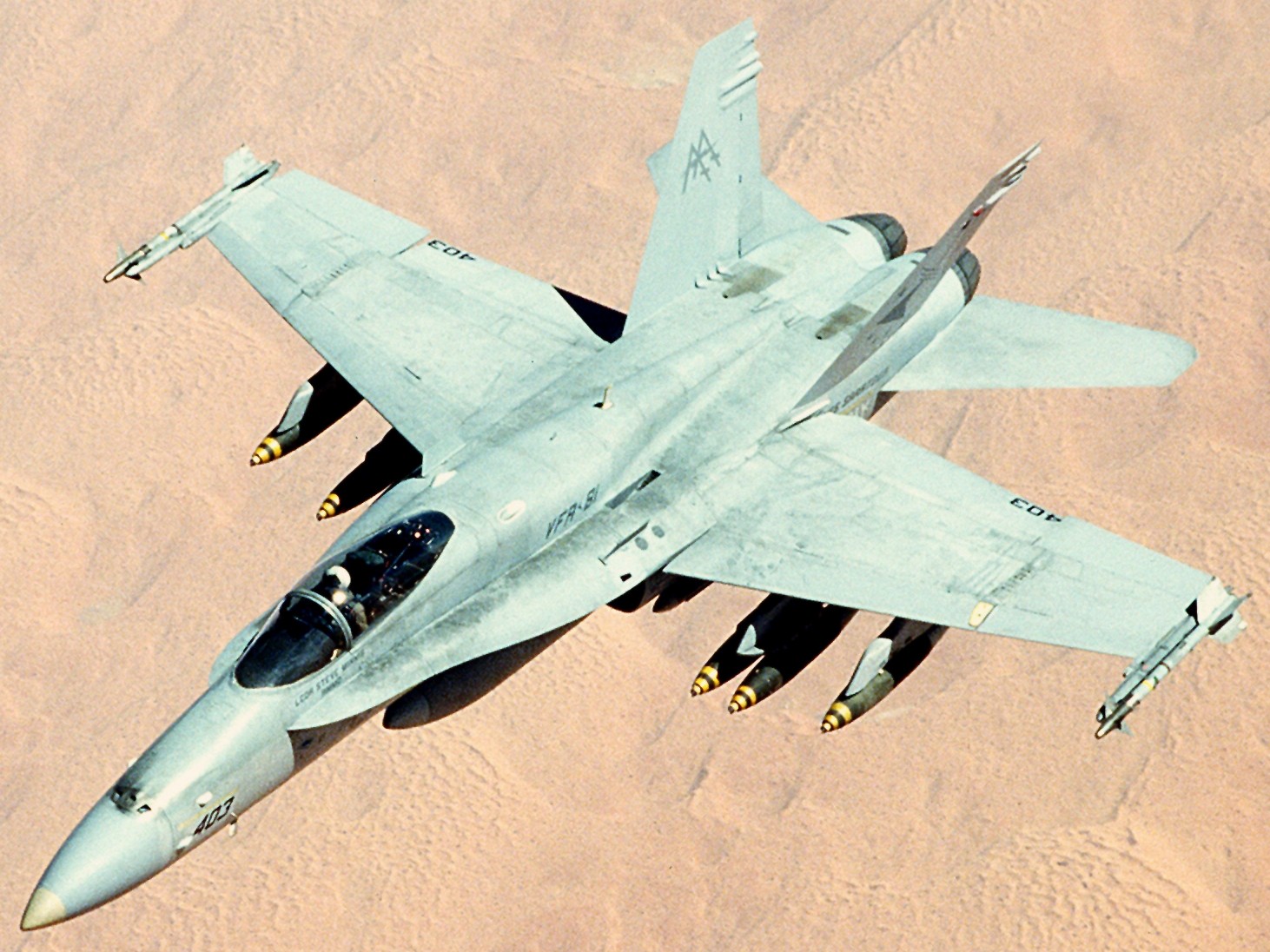 vfa-81 sunliners strike fighter squadron f/a-18c hornet cvw-17 cv-60 uss saratoga 111 desert storm