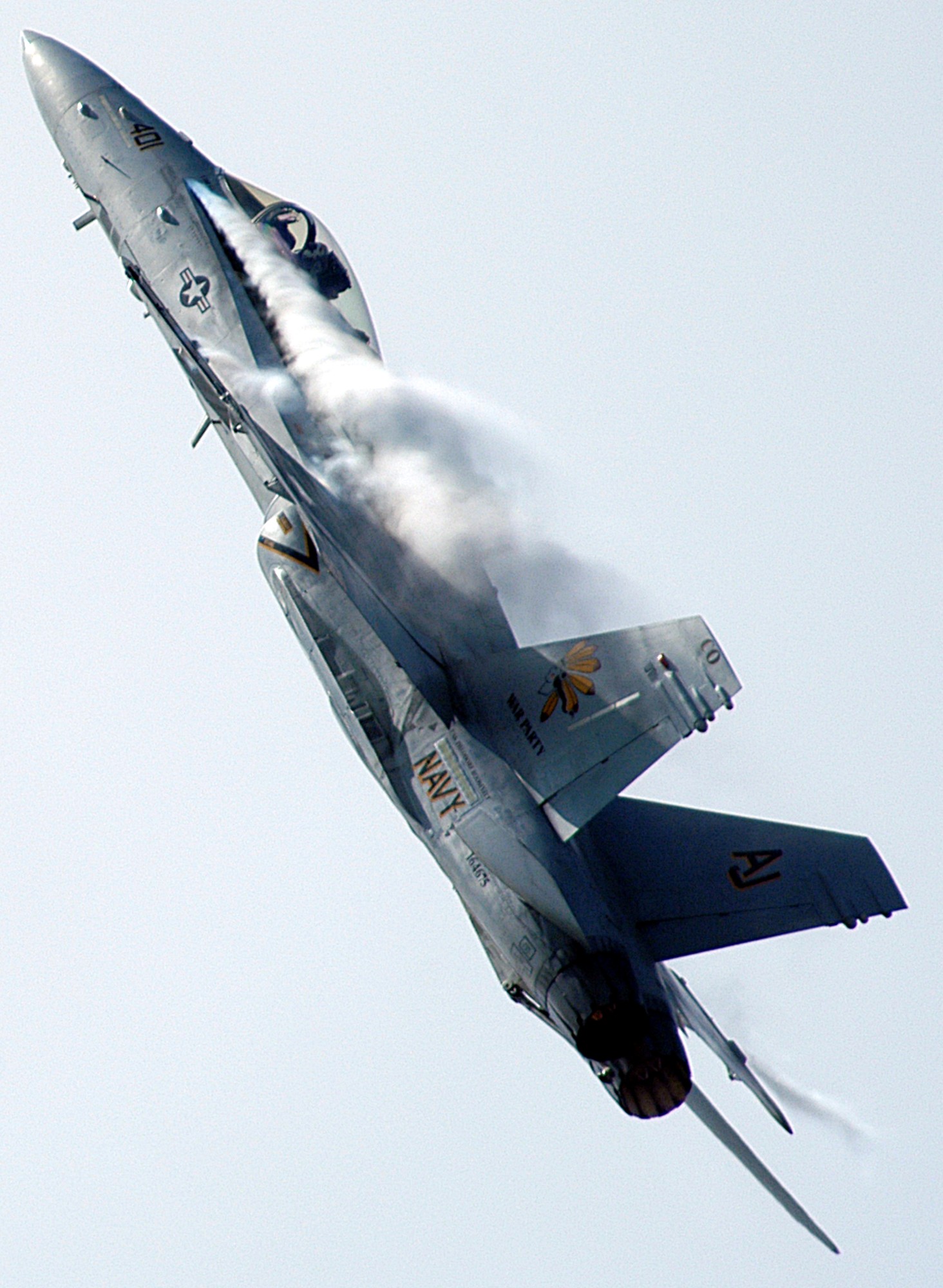 vfa-87 golden warriors strike fighter squadron f/a-18c hornet us navy nas oceana virginia 138p