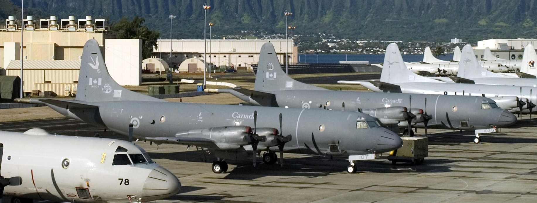lockheed cp-140 aurora long range patrol maritime aircraft royal canadian navy air force rcaf orion 04