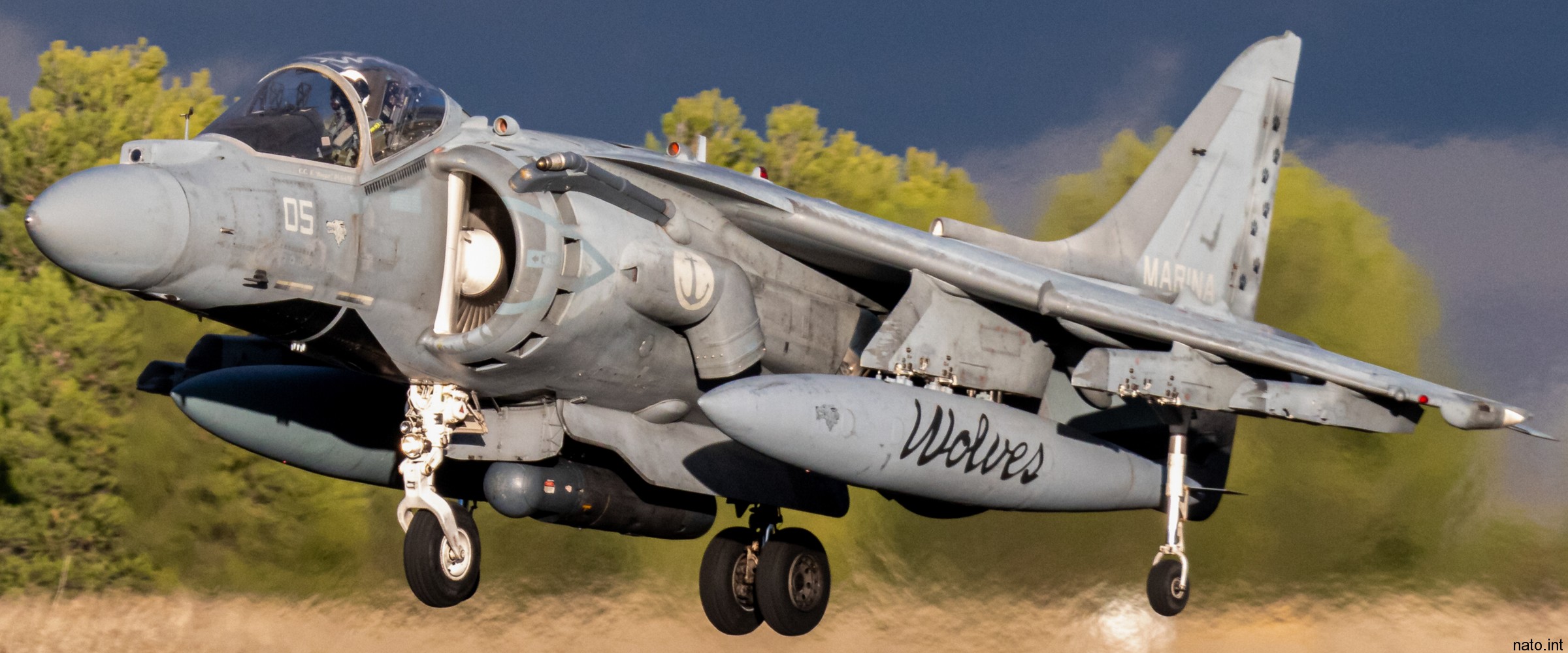 av-8b harrier ii+ italian navy marina militare grupaer wolves aircraft carrier maristaer grottaglie taranto 141