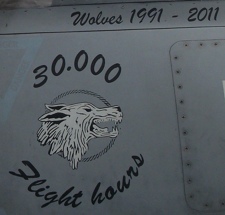gruppo aerei imbarcanti grupaer wolves insignia crest patch badge av-8b harrier italian navy 03