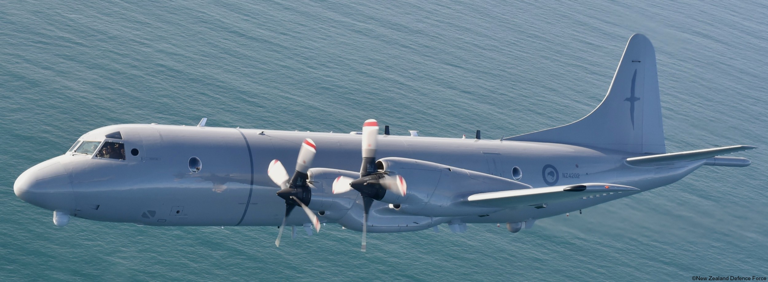 lockheed p-3k2 orion nz4202 maritime patrol aircraft mpa royal new zealand air force rnzaf no.5 squadron 03