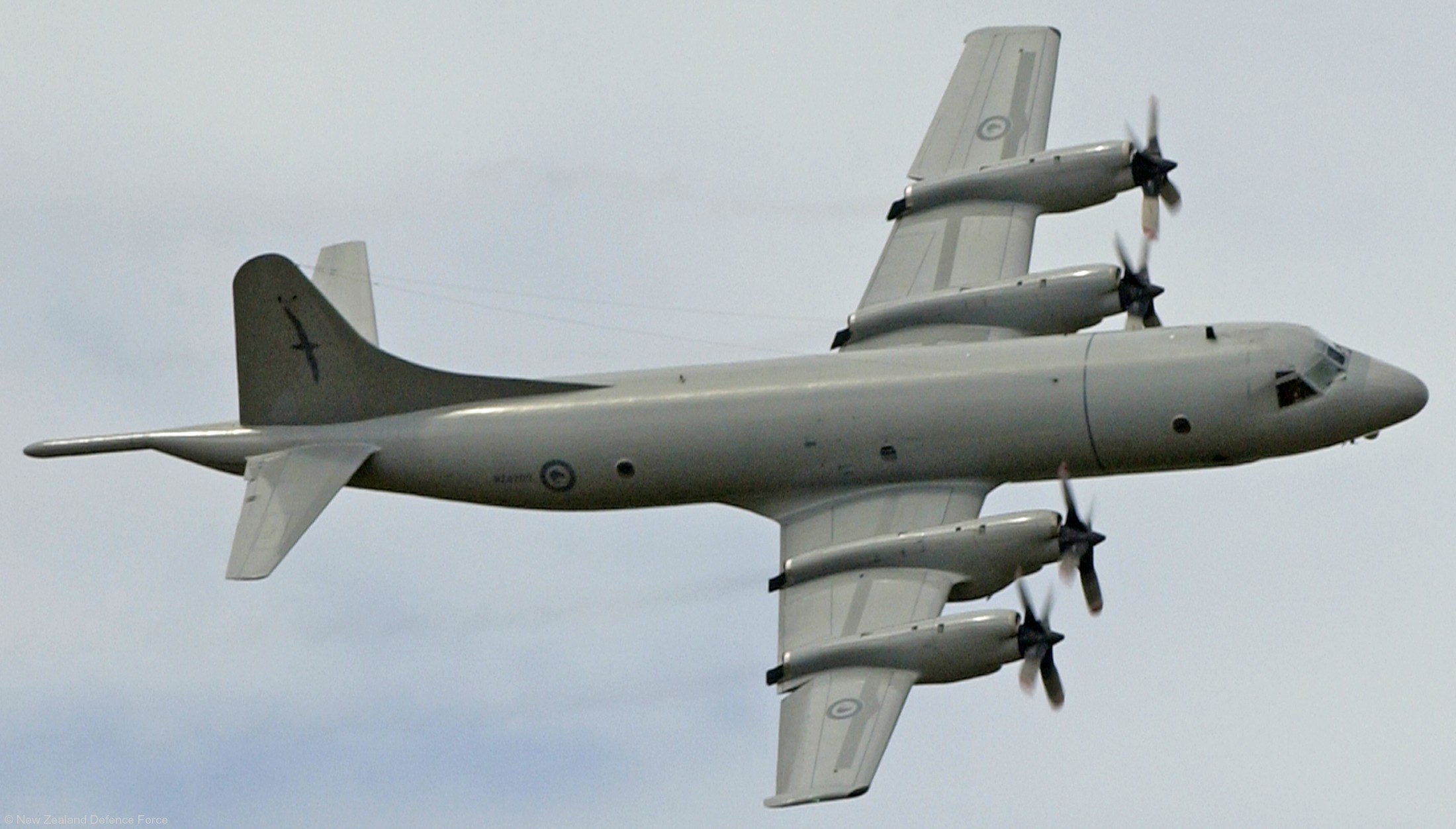 lockheed p-3k2 orion nz4203 maritime patrol aircraft mpa royal new zealand air force rnzaf no.5 squadron 04