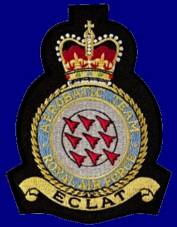 Red Arrows - Royal Air Force patch crest insignia
