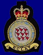 Red Arrows - Royal Air Force patch crest insignia