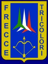 Frecce Tricolori - 313 Gruppo Addestramento Acrobatico - Pattuglia Acrobatico Nazionale - PAN patch crest insignia