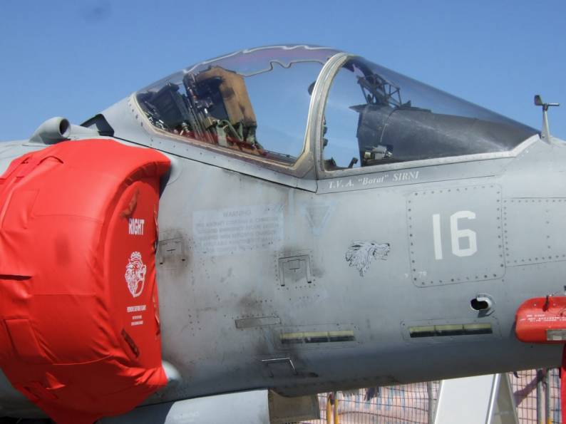 AV-8B Harrier Italian Navy Wolves