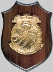 c 551 its giuseppe garibaldi crest insignia patch badge