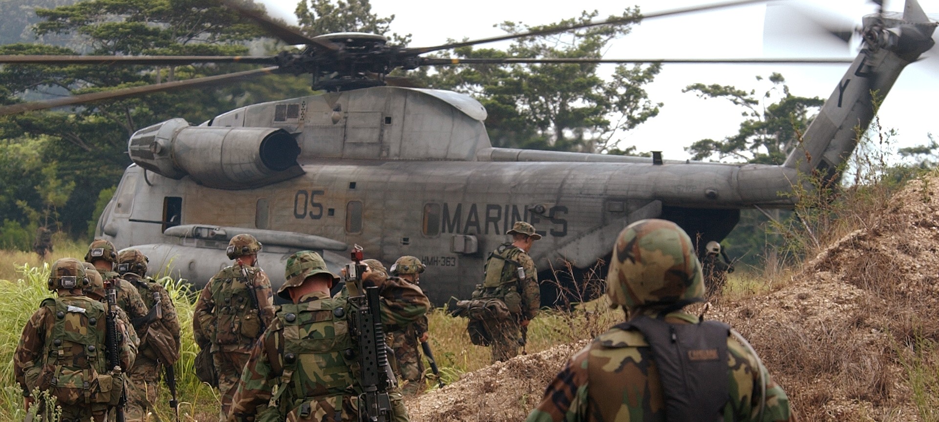 hmh-363 red lions marine heavy helicopter squadron usmc sikorsky ch-53d sea stallion 17