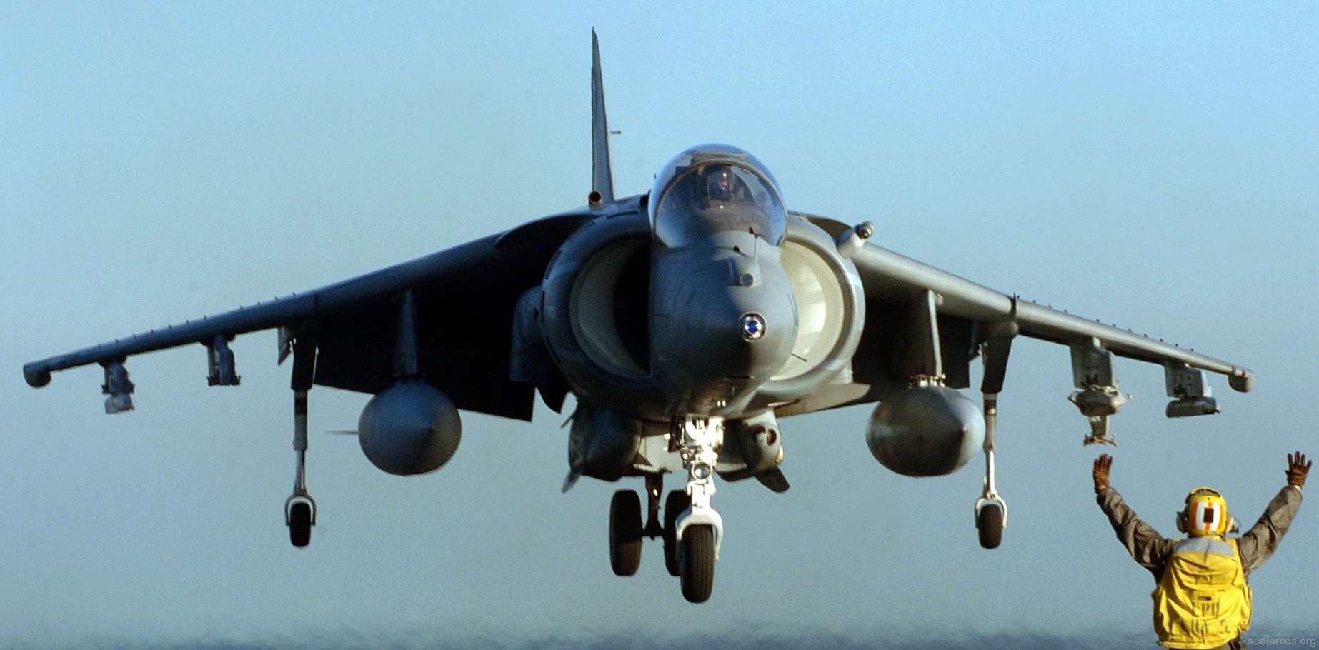 vma-214 blacksheep av-8b harrier marine attack squadron usmc 24