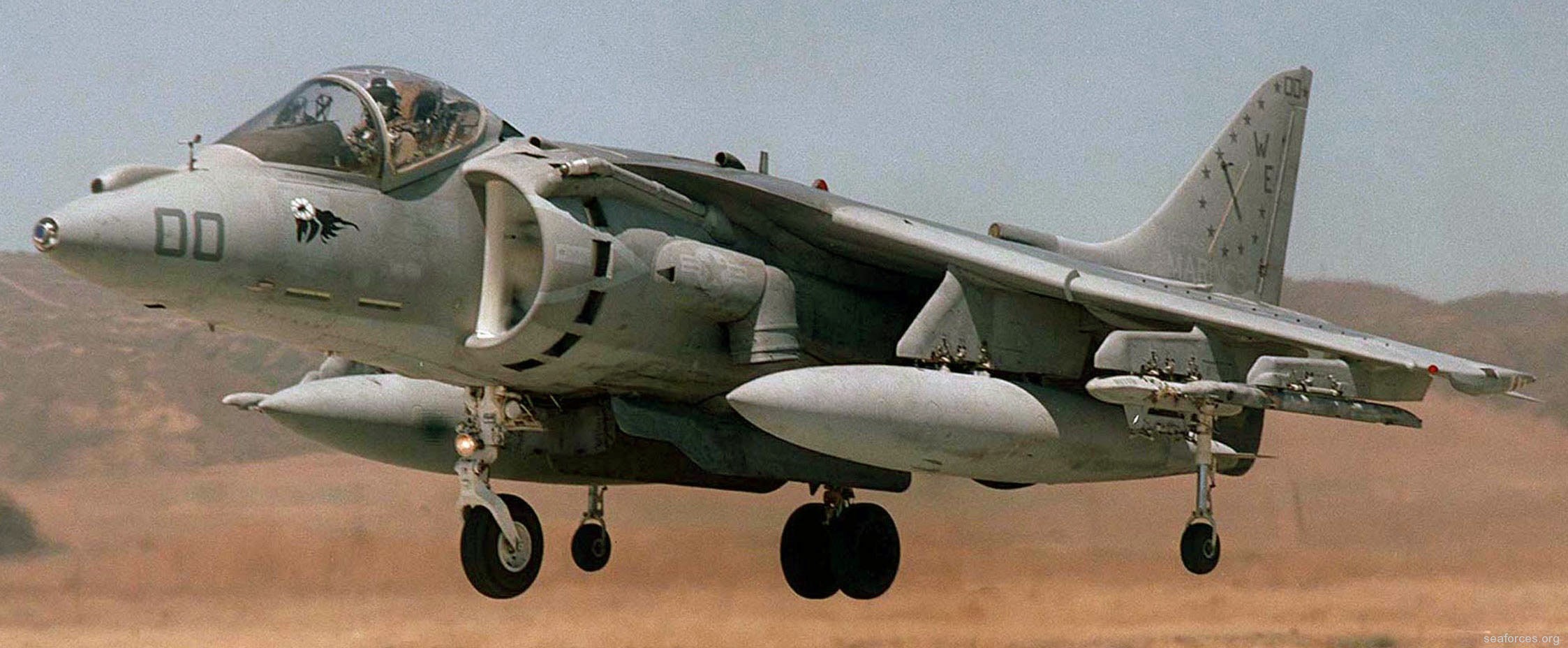vma-214 blacksheep av-8b harrier marine attack squadron usmc 81