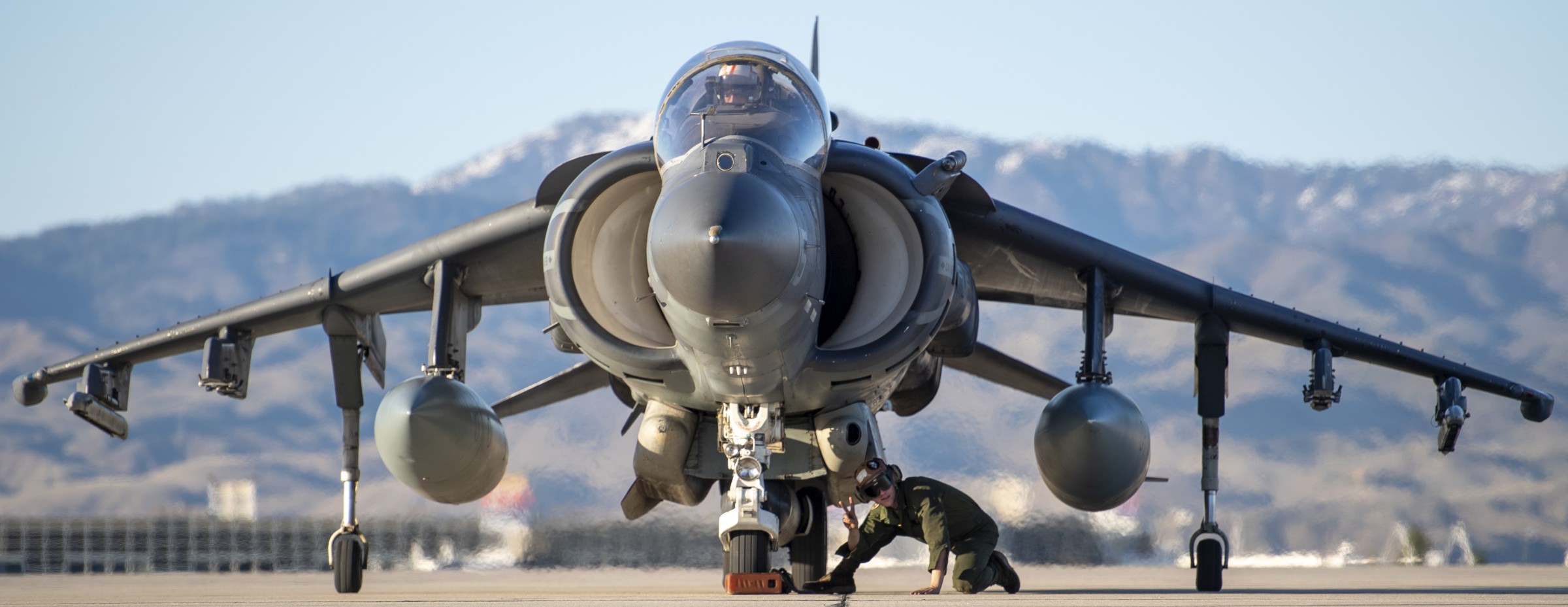 vma-223 bulldogs marine attack squadron av-8b harrier gowen field angb boise idaho 60