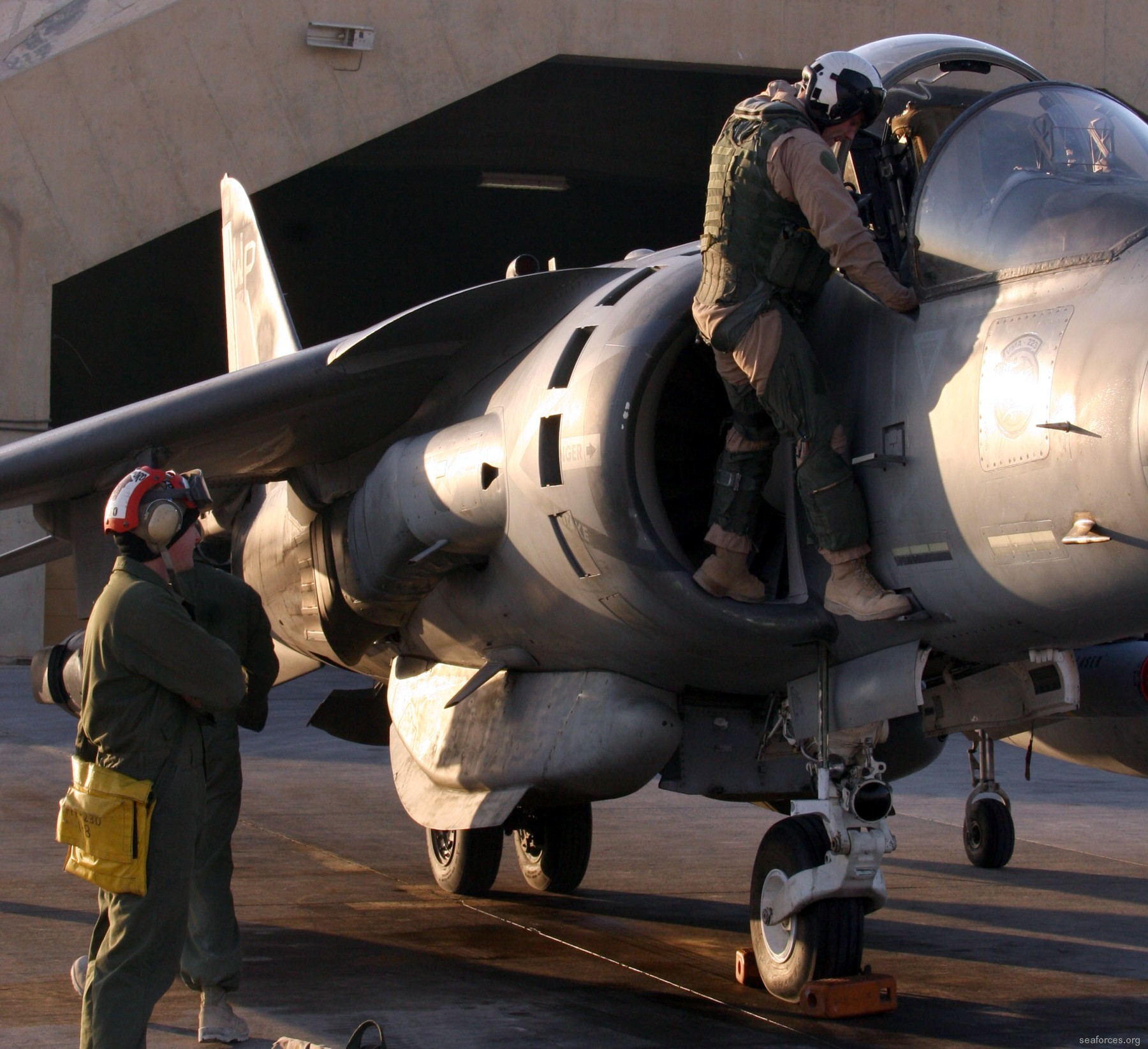 vma-223 bulldogs av-8b harrier marine attack squadron usmc 40 al asad iraq