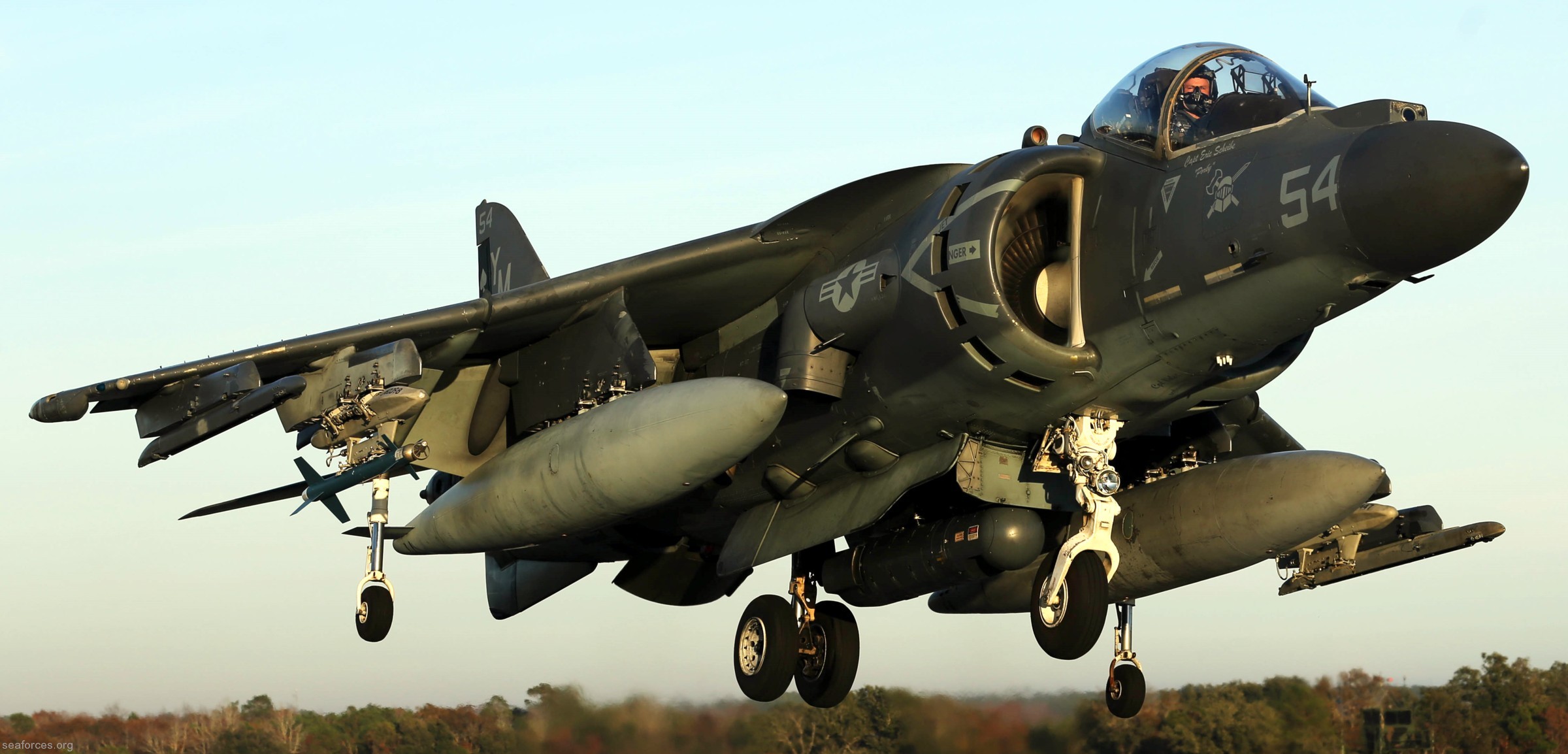 vma-231 ace of spades marine attack squadron usmc av-8b harrier mcas cherry point nc