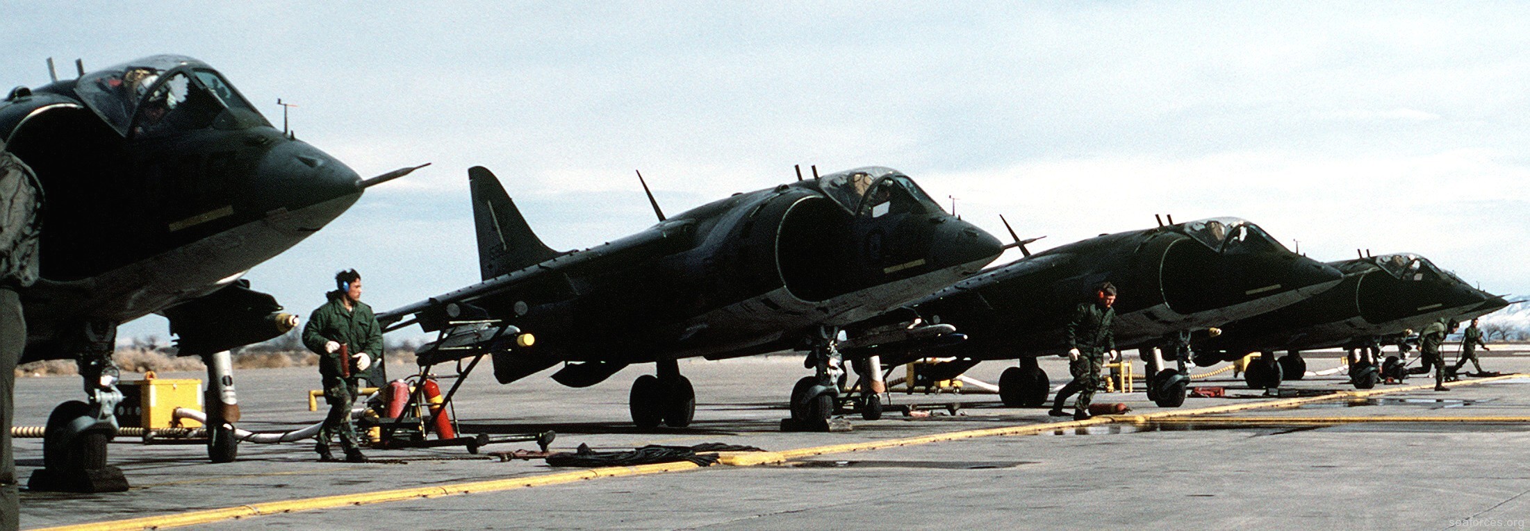 vma-231 ace of spades av-8a harrier marine attack squadron 43
