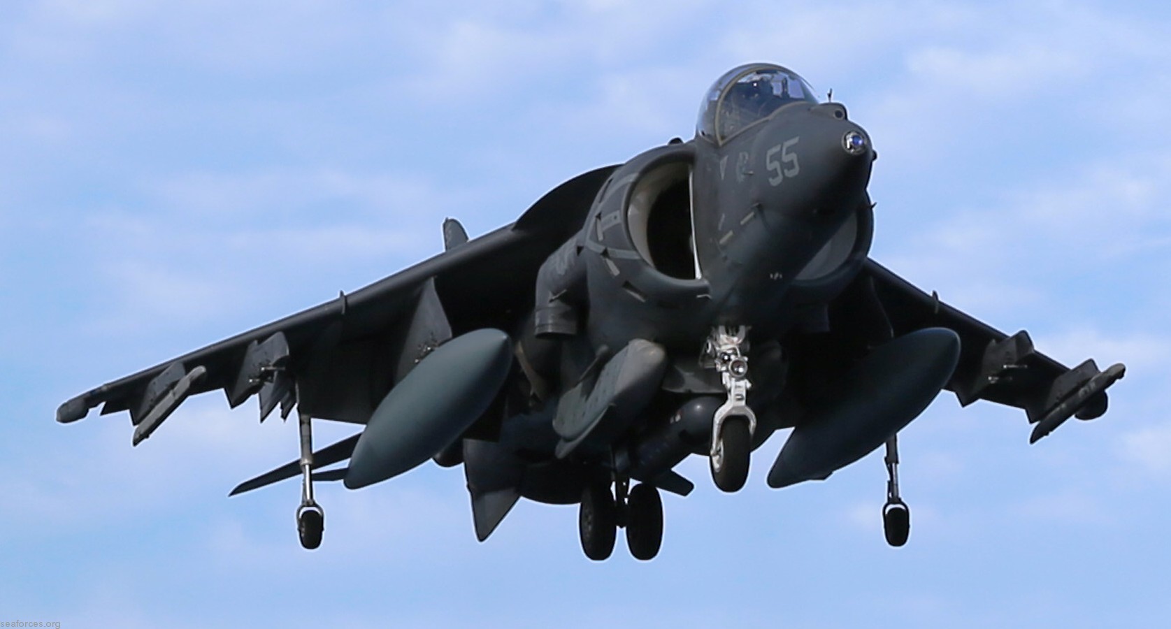 vma-231 ace of spades av-8b harrier marine attack squadron usmc 100