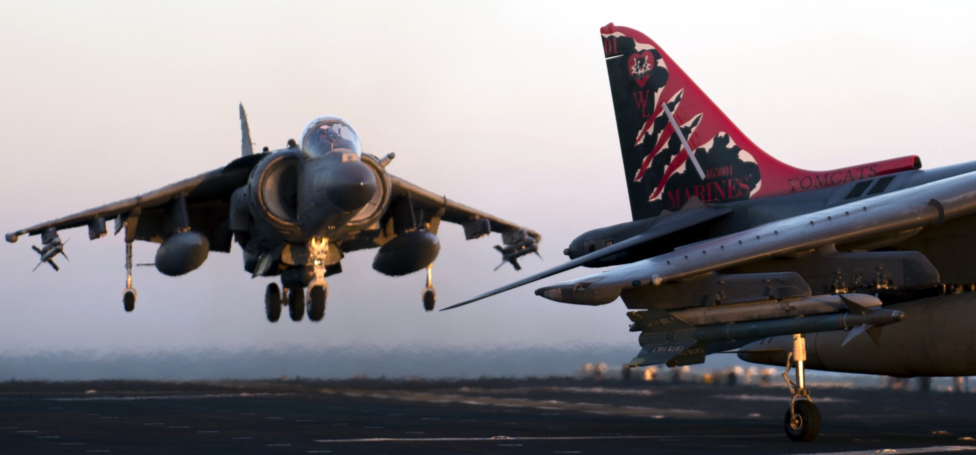 vma-311 tomcats marine attack squadron usmc av-8b harrier 105