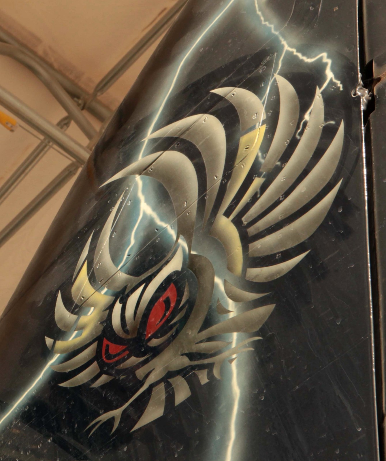 vma-513 flying nightmares av-8b harrier special tail painting