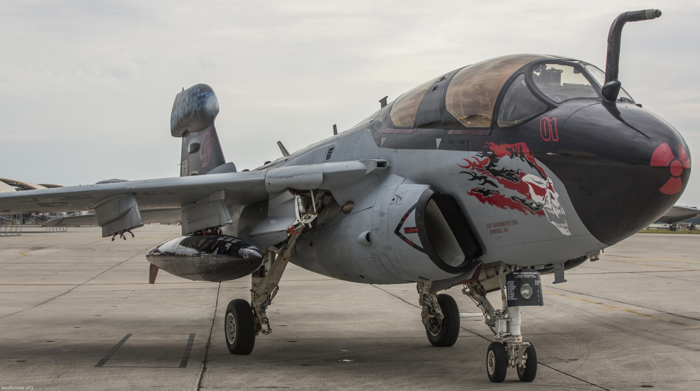 vmaqt-1 banshees ea-6b prowler marine tactical electronic warfare training squadron usmc 10 mcas cherry point