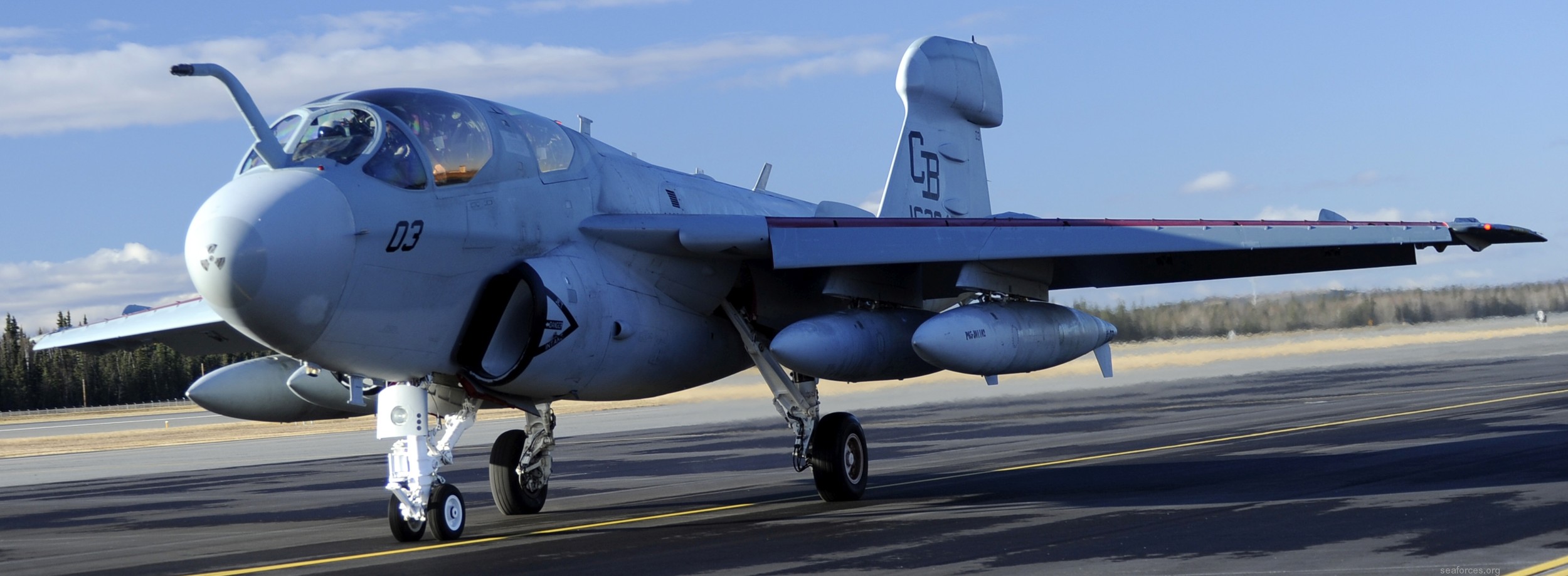 vmaq-1 banshees ea-6b prowler marine tactical electronic warfare squadron usmc 100 eielson afb red flag