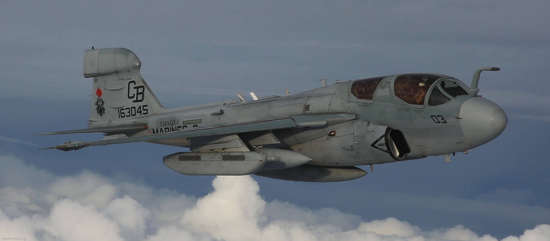 vmaq-1 banshees marine tactical electronic warfare squadron usmc ea-6b prowler mcas cherry point north carolina vmaqt