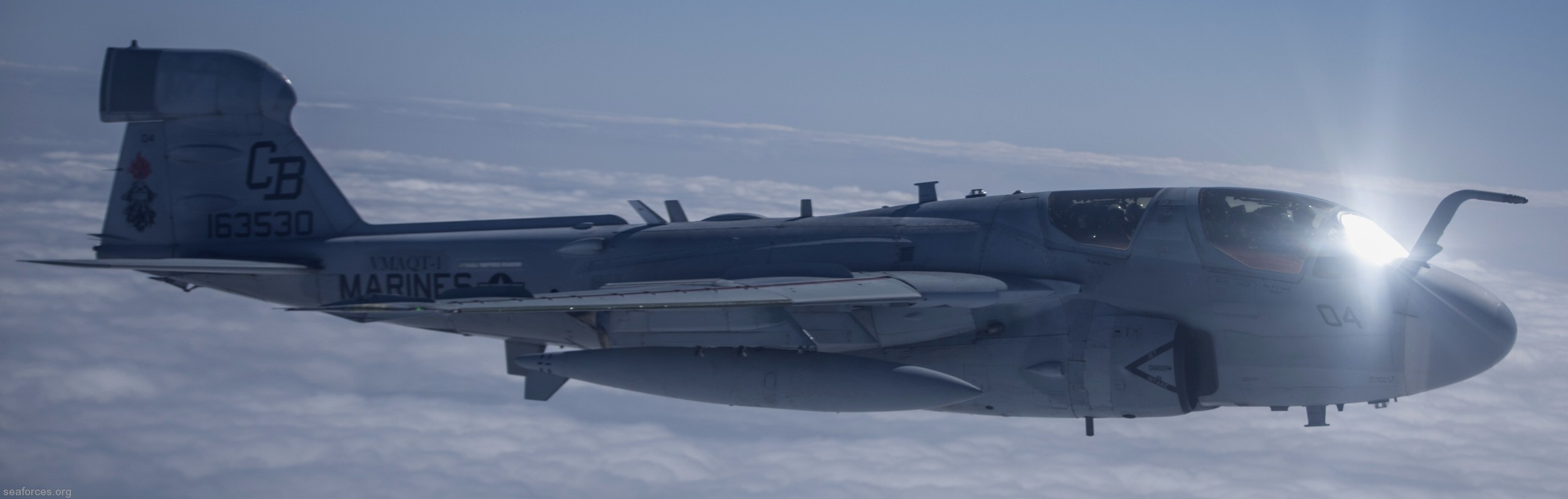 vmaqt-1 banshees ea-6b prowler marine tactical electronic warfare training squadron usmc 31