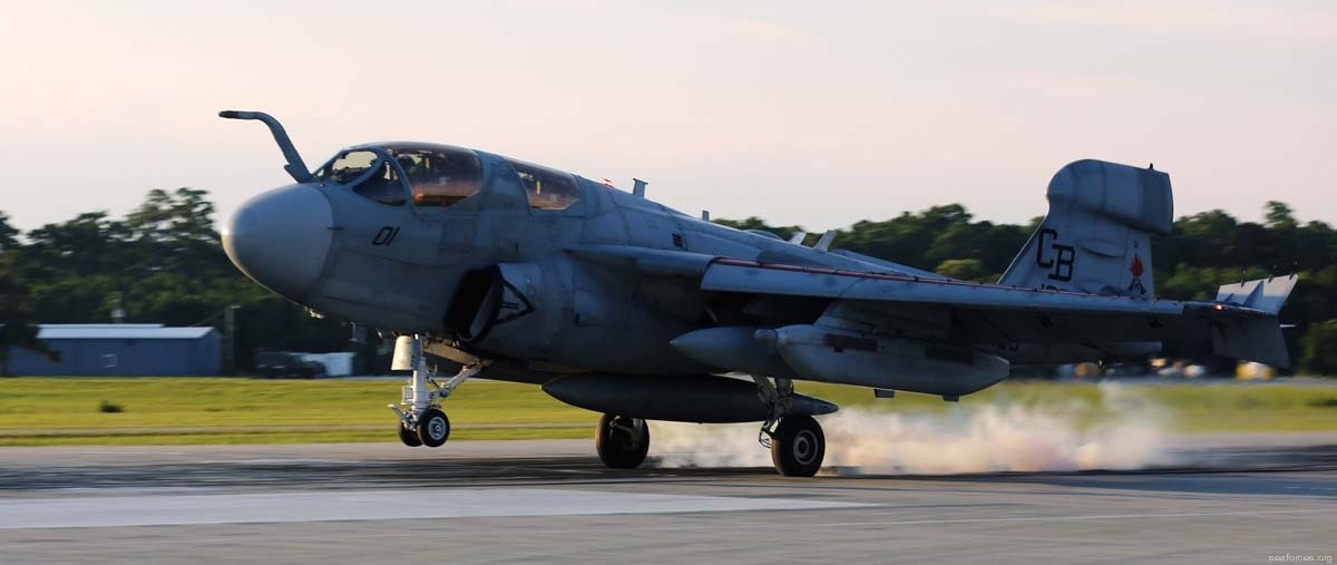vmaqt-1 banshees ea-6b prowler marine tactical electronic warfare training squadron usmc 44