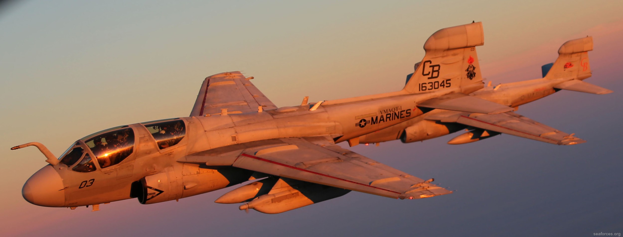 vmaqt-1 banshees ea-6b prowler marine tactical electronic warfare training squadron usmc 49