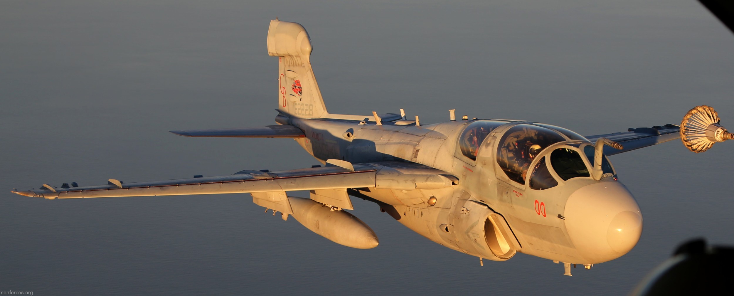 vmaqt-1 banshees ea-6b prowler marine tactical electronic warfare training squadron usmc 51
