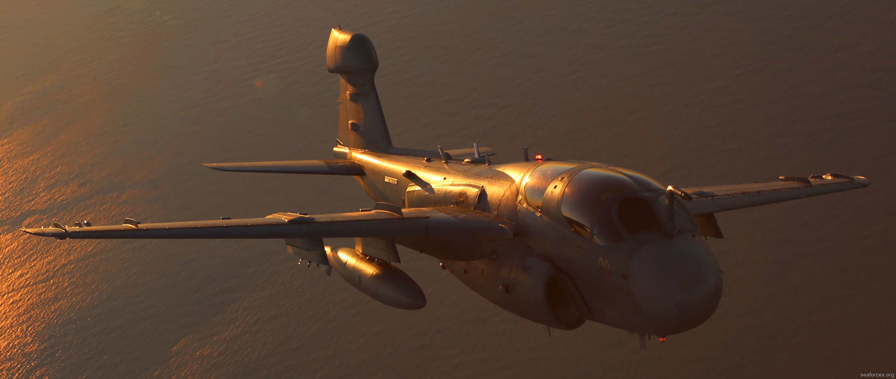 vmaqt-1 banshees ea-6b prowler marine tactical electronic warfare training squadron usmc 73