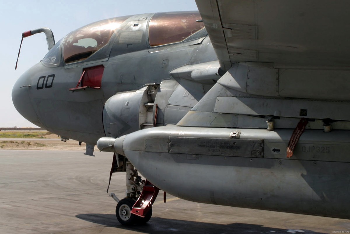 vmaq-1 banshees ea-6b prowler marine tactical electronic warfare squadron usmc 87
