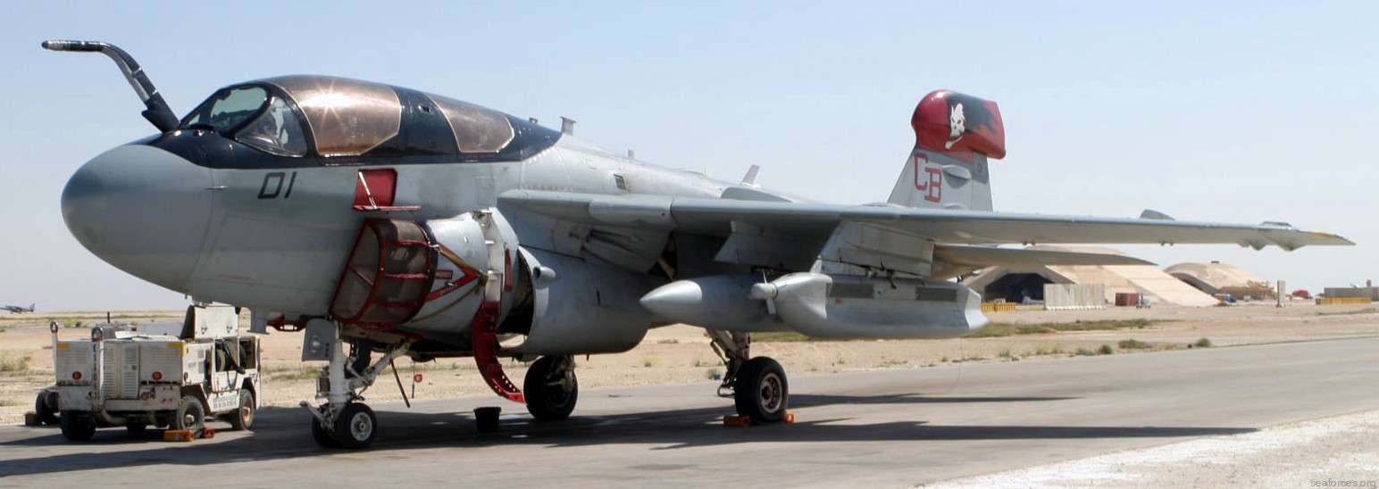 vmaq-1 banshees ea-6b prowler marine tactical electronic warfare squadron usmc 93 al asad iraq