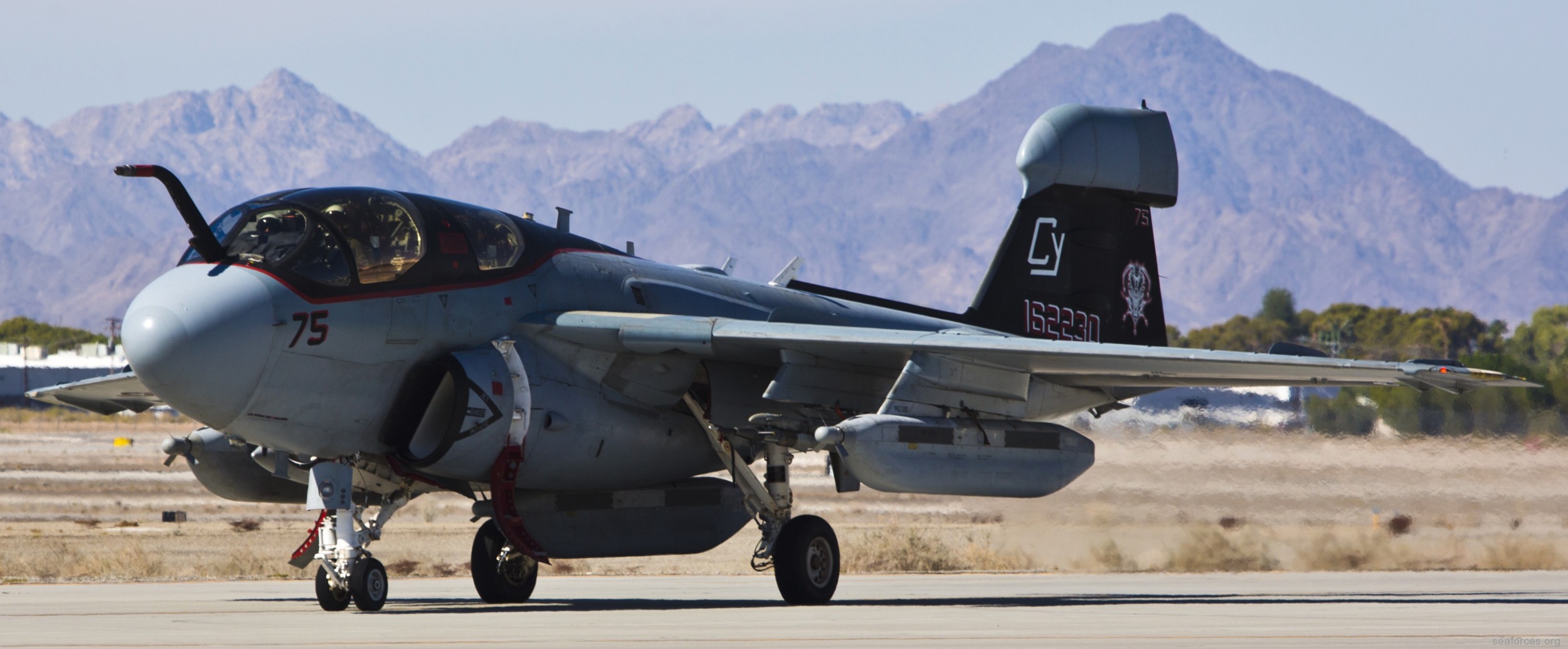 vmaq-2 death jesters ea-6b prowler marine tactical electronic warfare squadron usmc 04a mcas yuma arizona