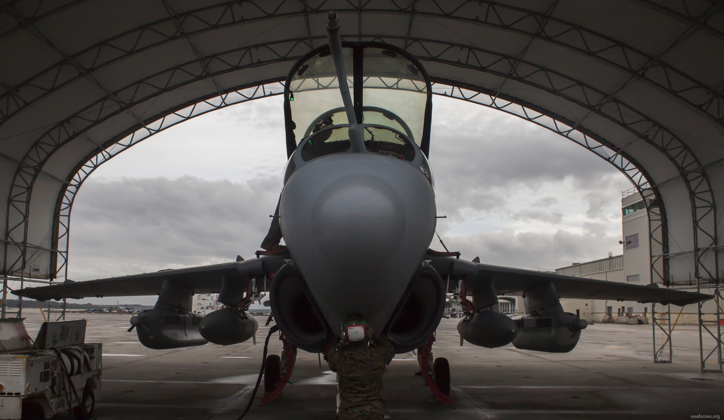 vmaq-2 death jesters ea-6b prowler marine tactical electronic warfare squadron usmc 08 mcas cherry point north carolina