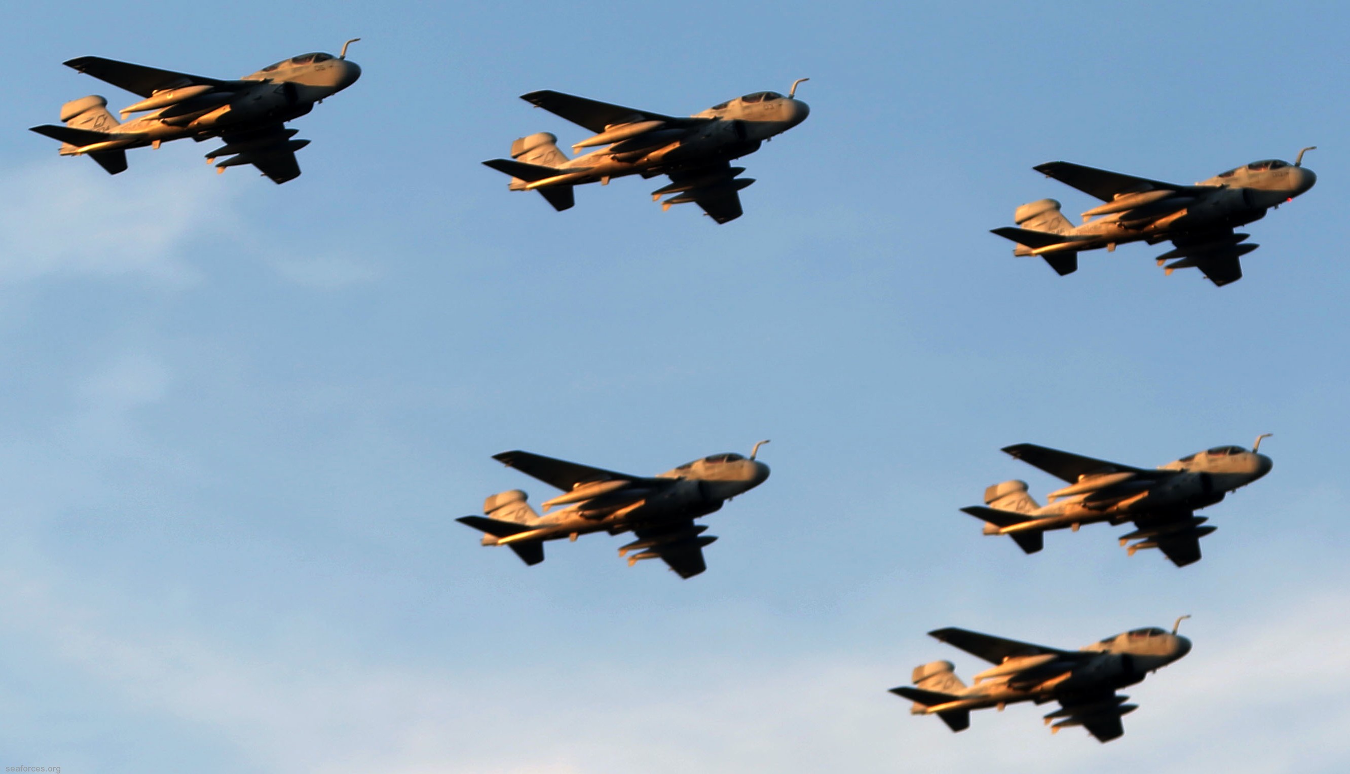 vmaq-2 death jesters ea-6b prowler marine tactical electronic warfare squadron usmc 10 formation