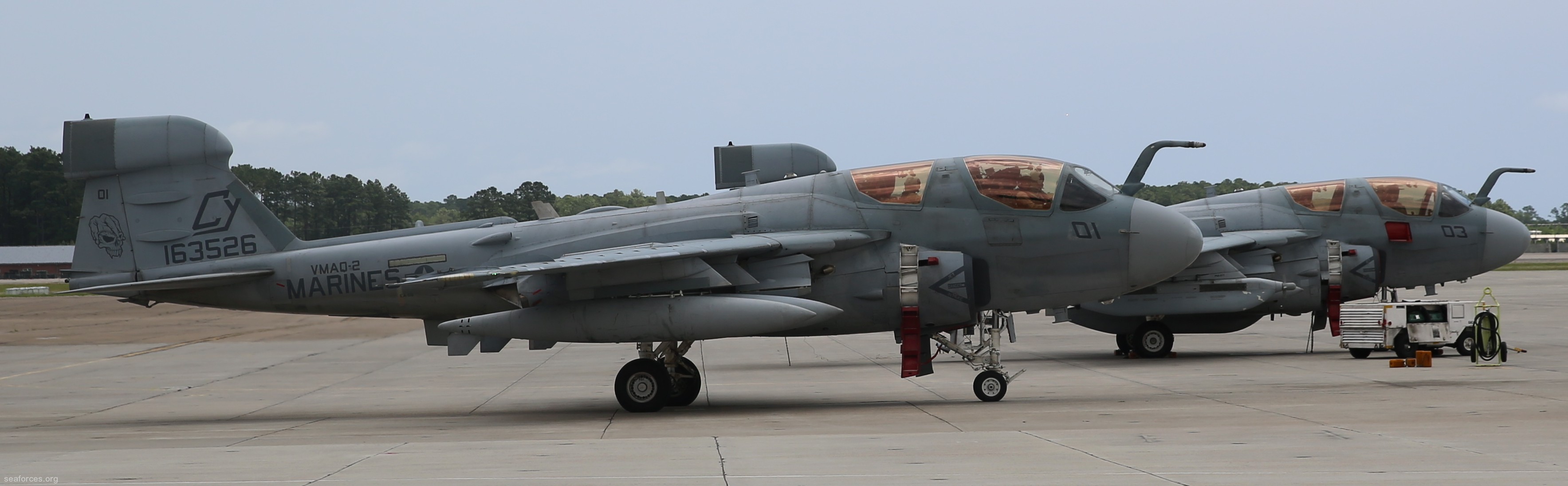 vmaq-2 death jesters ea-6b prowler marine tactical electronic warfare squadron usmc 12 mcas cherry point nc