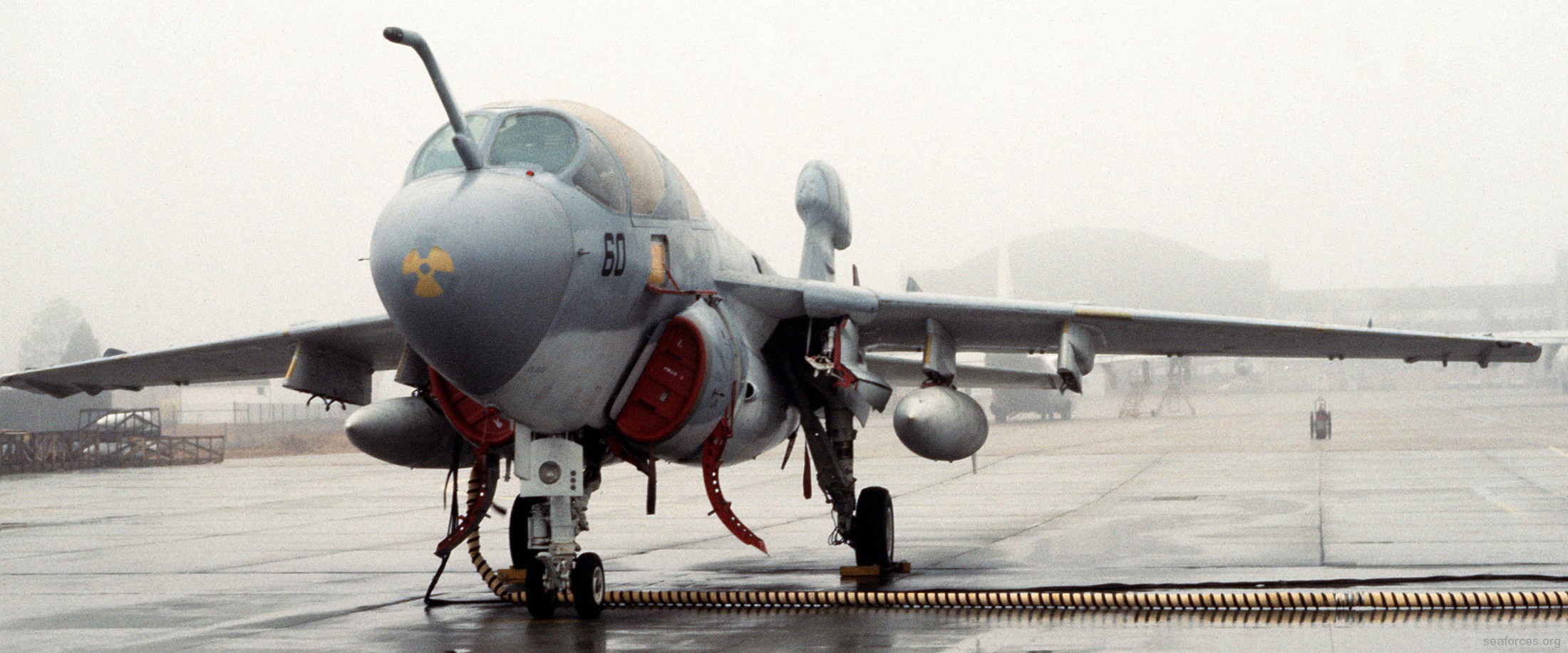 vmaq-2 playboys ea-6b prowler marine tactical electronic warfare squadron usmc 47